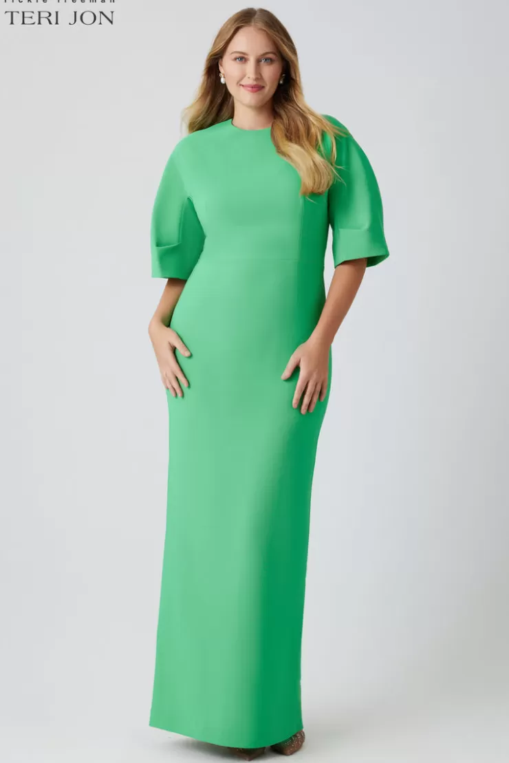 Teri Jon Crepe Fitted Sleeve Gown